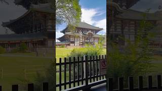 #japon #todaiji #daibutsuden #temple #histoire