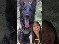 Proteo recibe homenaje en el desfile militar 2026, el perrito murió tras salvar vidas en Turquía
