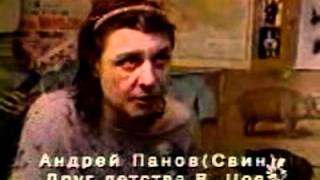 Свин О Цое. Небольшое Домашнее Интервью.