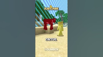 Minecraft, but with EVERY DAMAGE, the BORDER GROWS! ⛏️ #shorts