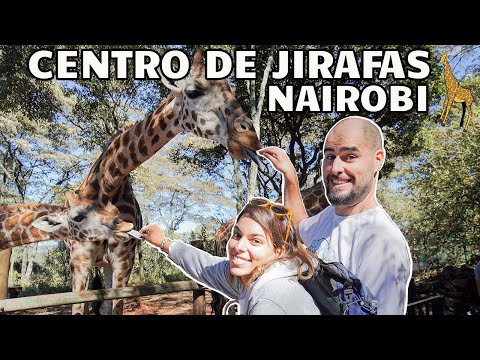 Video: Centro de jirafas de Nairobi: la guía completa