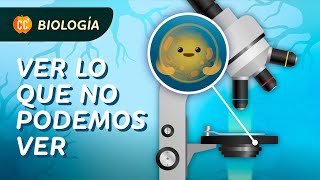 ¿Cómo funcionan los microscopios: Crash Course Biología #22