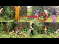 We Found The Grave It Is Protected By Nyoka Mtu Haichimbuki 