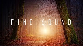 Some of Us Wonder  - Headphonesvocal (No Copyright Music)