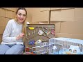 🐹 DIY Traseu pentru Hamsteri | Labirint din Carton surpriza penru Sofia si Sara