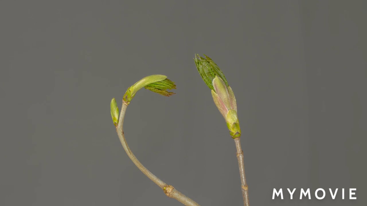 Nature is beauttfull.