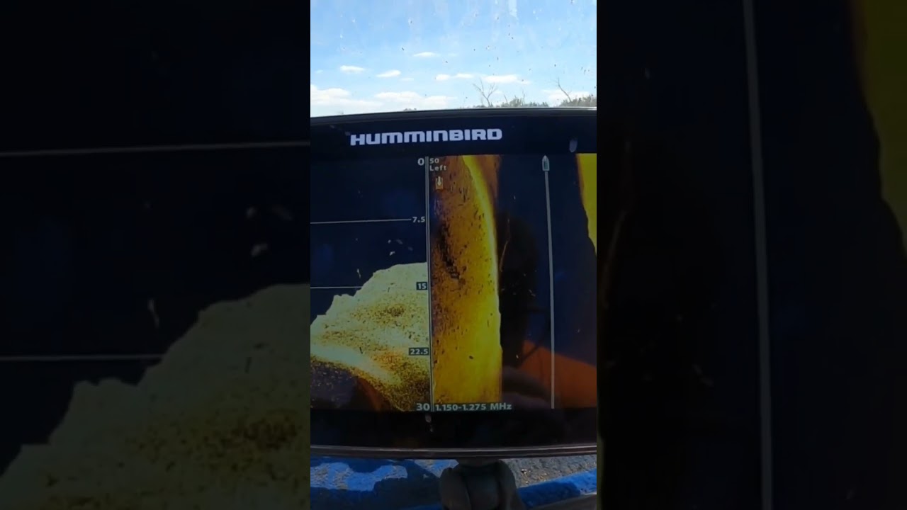 Humminbird Helix 10 mega imaging school of Largemouth bass