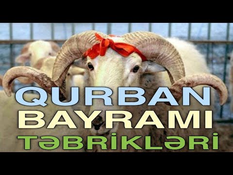 Qurban bayramınız mübarək. Təbrik videosu