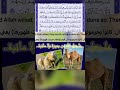 139136الأنعامالانعامأقرألوصف mp3