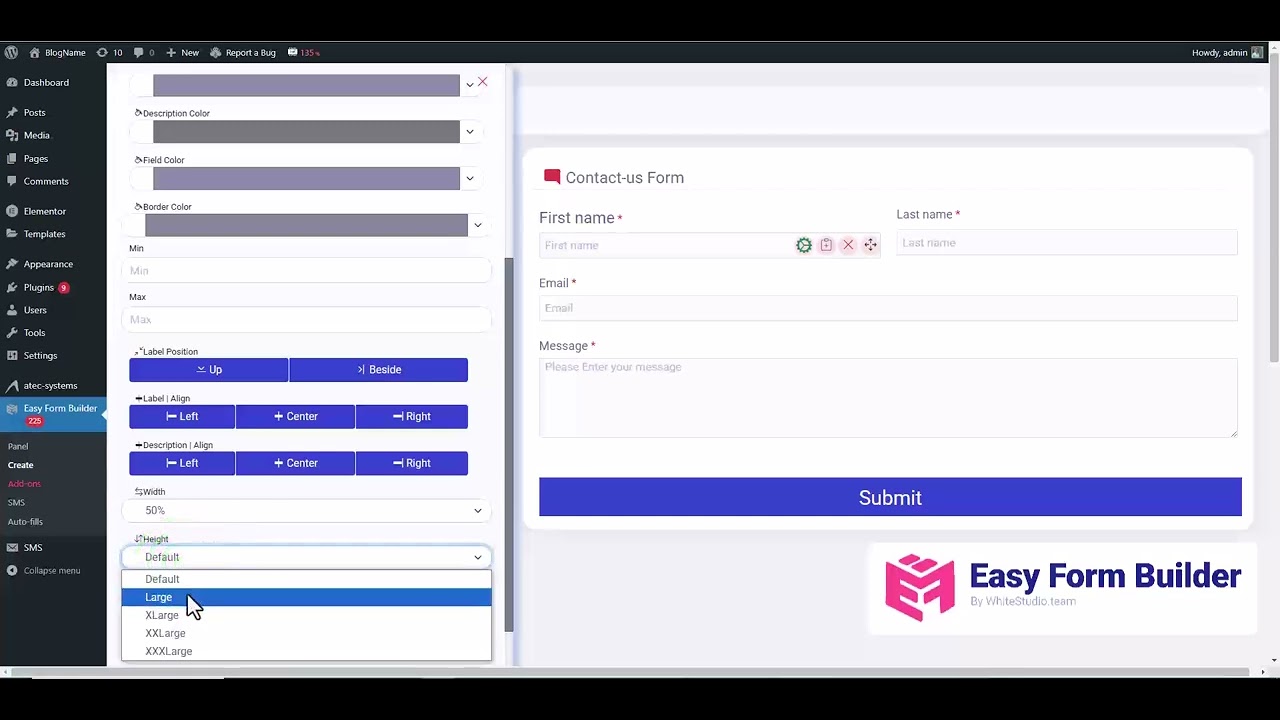 How to Customize Font Sizes in Easy Form Builder for WordPress | Step ...