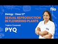 JAC Board 2026 | Sexual Reproduction in FP– Class 12 Biology | L 5: PYQs
