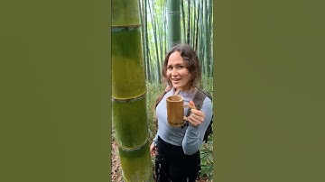 Survival Skills: How to Get Water from a Coconut Tree 🌴💧#ohd #survival #camping #bushcraft #skills