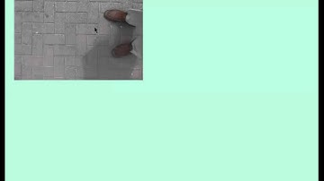 Chapter 12.1 - Exploring Tessellations with Regular and Irregular Polygons