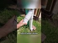 為什麼德國人一年的水費只需要200塊錢,真相大吃一驚#紅火蟻 #無人機打藥 #小區物業 #科技聚集地 #灑拖