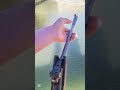Targeting Birds with Shooting