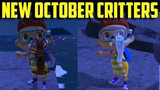 October Critters | October Bug Guide | October Fish Guide | October Sea Creature Guide