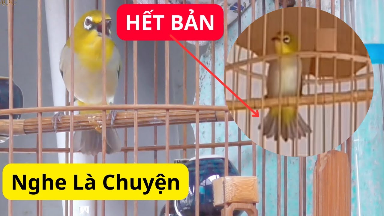 Kích Khuyên Chuyện Chuyện Xoè Nghe Là Chuyện