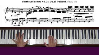 Beethoven Piano Sonata No.15 Pastorale Op. 28 Andante Tutorial