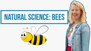 Learn about Bees, Wasps & Hornets: Primary School Science // Learning From Home