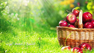 محمد أيوب سورة الزمر