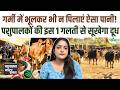 चारा खाने के बाद भी घट गया दूध? जानिए शरीर में पानी की कमी का यह खौफनाक सच | Animal Husbandry Tips