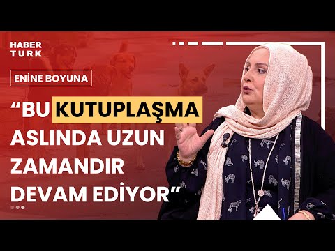 Başıboş köpek sorunu nasıl çözülecek? Nihal Bengisu Karaca değerlendirdi