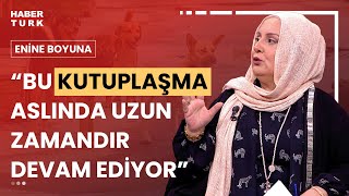 Başıboş köpek sorunu nasıl çözülecek? Nihal Bengisu Karaca değerlendirdi