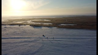 11 насосная. Весна наступает