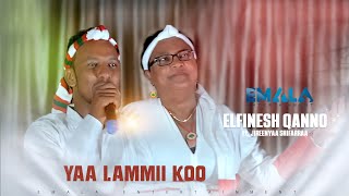 Ilfinesh Qannoo Ft. Jireenyaa Shifarraa - Yaa Lammii Koo - New Oromo Music 2019  Video