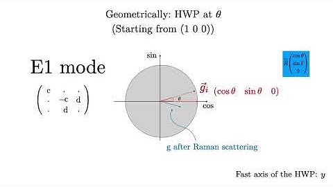 Raman Polarization: Application to D3d