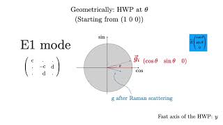 Raman Polarization: Application to D3d
