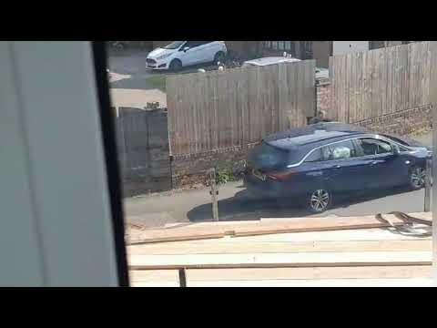 Yodel investigate driver filmed "urinating" in street