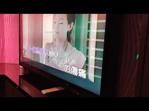 聽說愛情回來過--林憶蓮