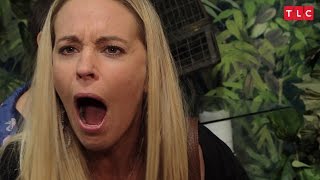 Famous Kate Bugs Out at the Insectarium | Kate Plus 8 Wealth
