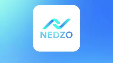 Meet Nedzo AI