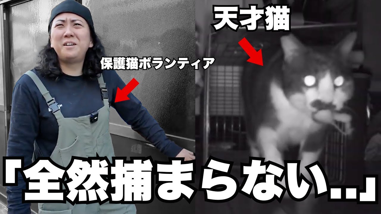 【捕獲器を見破る】賢すぎる猫に保護猫ボランティアが大苦戦... 飼い主の入院で取り残されたニャンコを救うために何度も家まで通う活動に密着！！