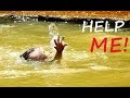 FEELING DEEP SCARE ! Small Maddix Up Hand Ask Help In Deep Water.