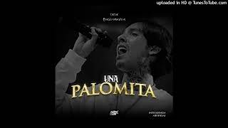 Video thumbnail of "Natanael Cano - Una Palomita"