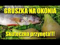 GRUSZKA na OKONIA | Okoń na spinning | Skuteczna przynęta | Грушка на окуня | Пуля