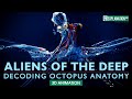 Aliens of the deep decoding octopus anatomy