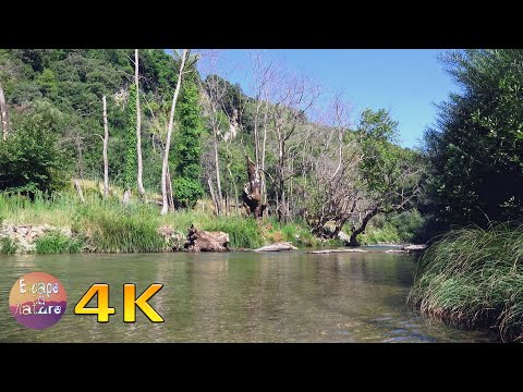 4K Erymanthos, a