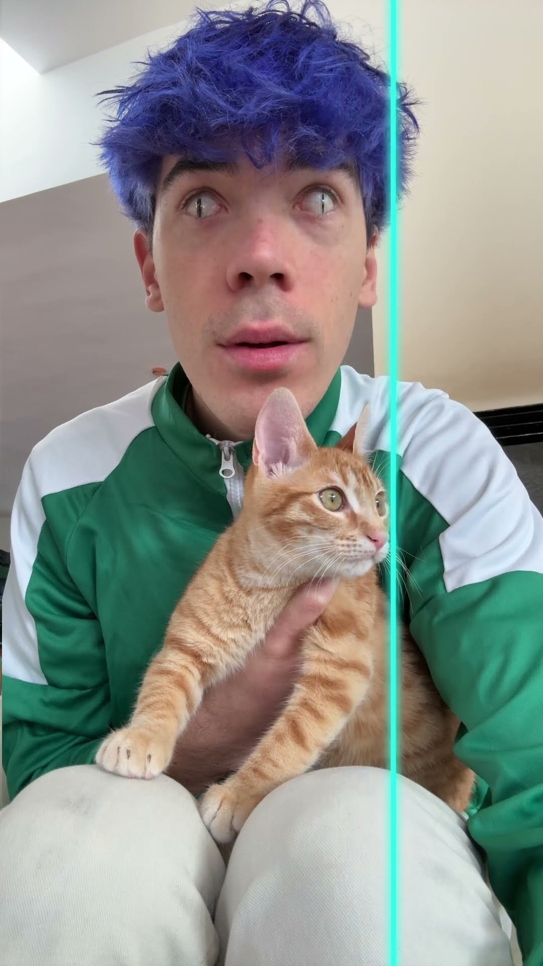 Quién creéis que es el gato de verdad?