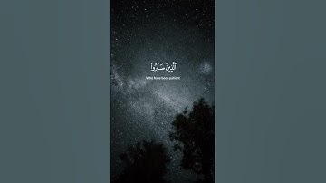 Сура Аль-Анкабут 58-61Аяты #субханаллах #quran سوره العنكبوت من الايه 58 الي 61  #قران #قران_كريم
