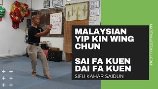 Malaysia Yip Kin Wing Chun - Sai Fa kuen & Dai Fa kuen