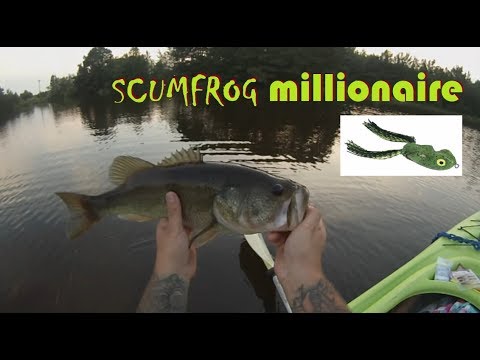 Using the Scum Frog Scum Dog on Non-Cooperative Summer Bass 