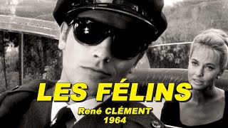 LES FÉLINS 1964 (Alain DELON, Jane FONDA, Lola ALBRIGHT)