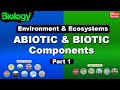 The Interconnectedness of Ecosystems and Their Components