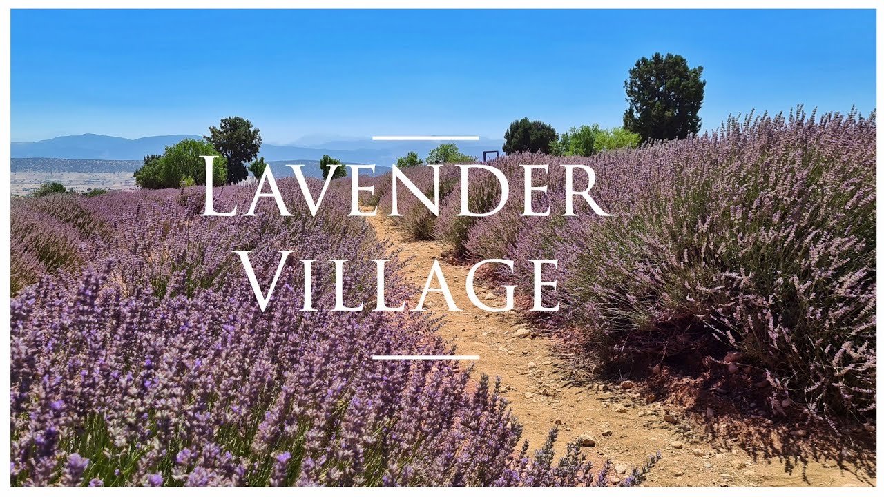 Download Lavender Village | Kuyucak Isparta