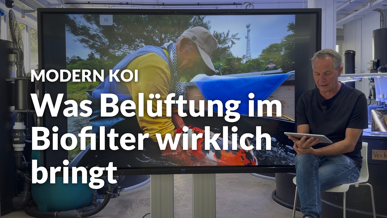 Biofilter belüften: ja oder nein?  | Modern Koi Blog #8266