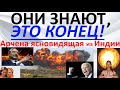 Они знают, это конец! Арчена ясновидящая из Индии